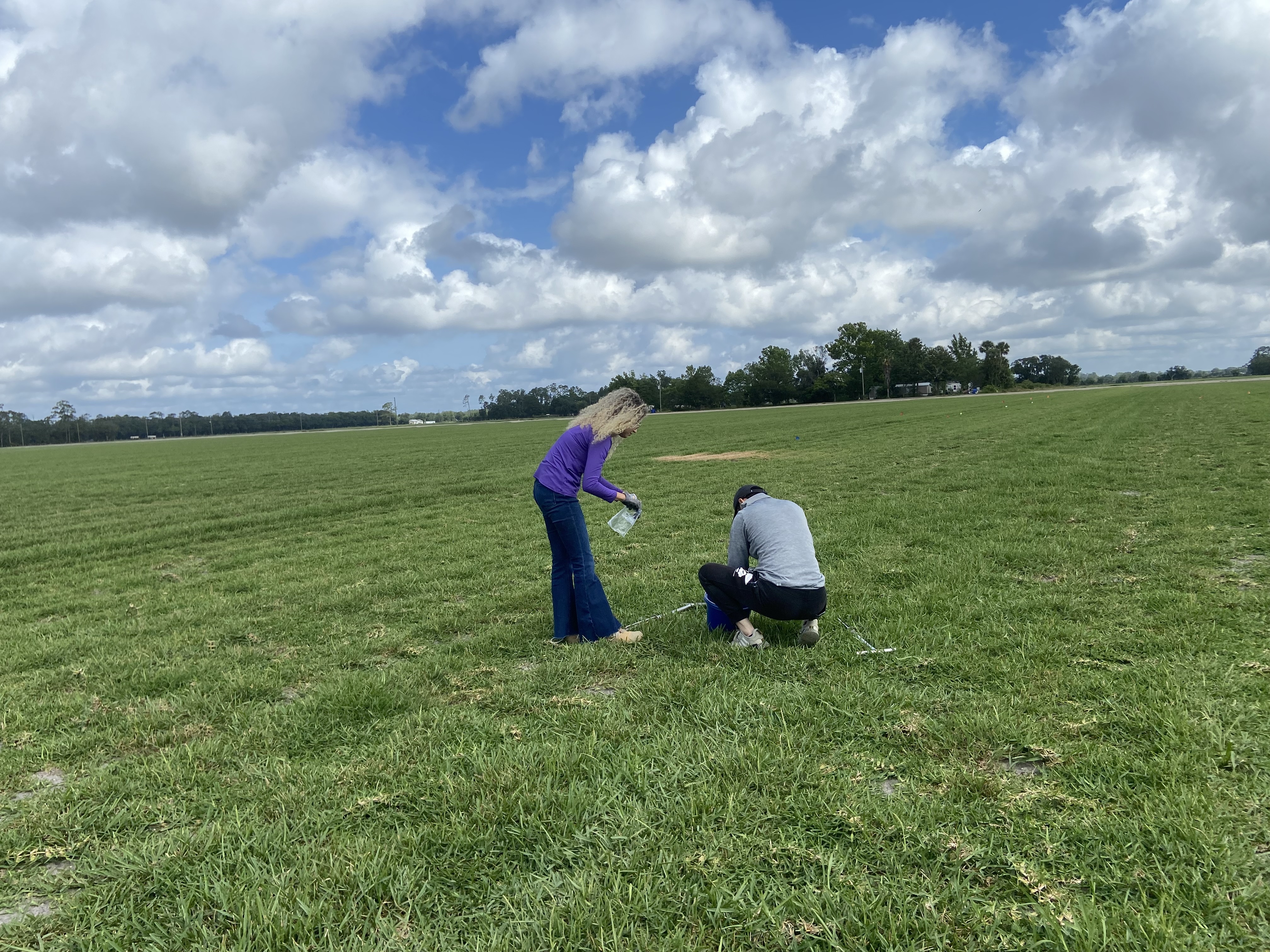 field 3